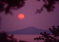 Adam Bruzzone Photography