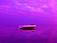 Adam Bruzzone Photography