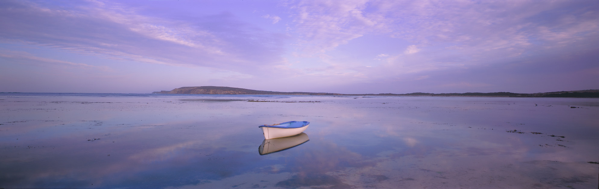 Adam Bruzzone Photography