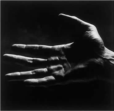 Adam Bruzzone Photography
