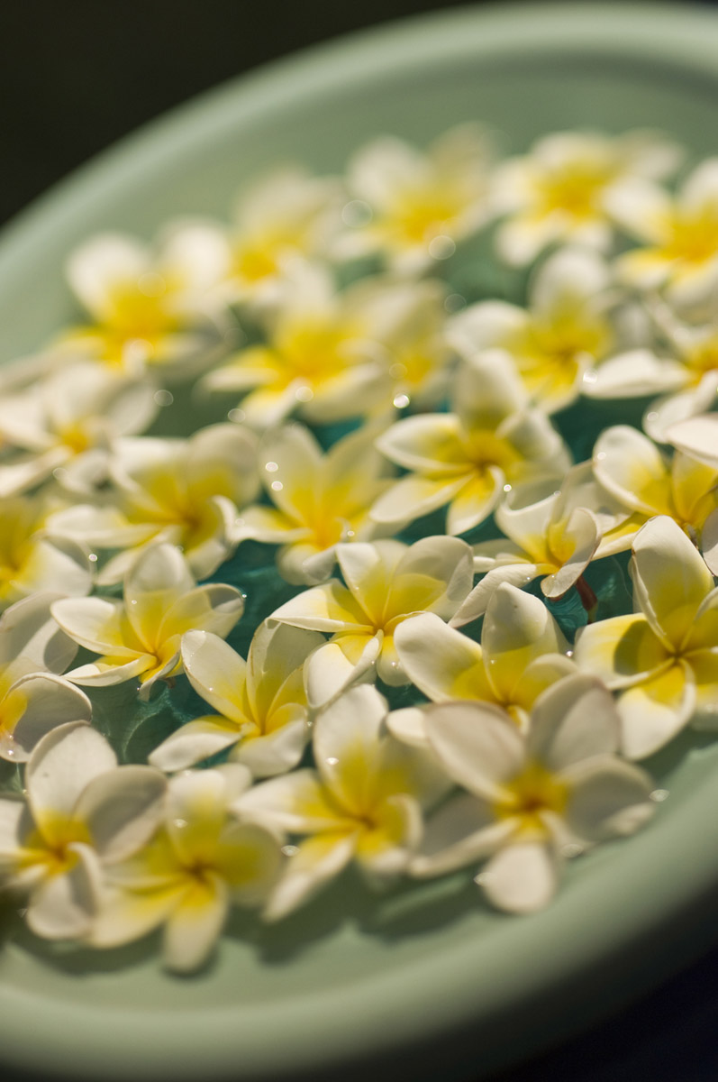 The Botanica Spa - Bangkok, Thailand