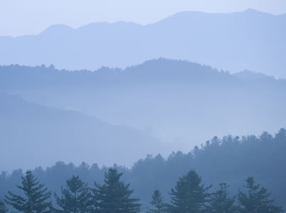 Adam Bruzzone Photography