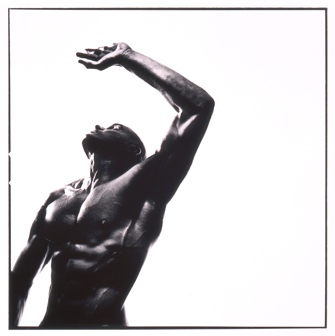 Adam Bruzzone Photography