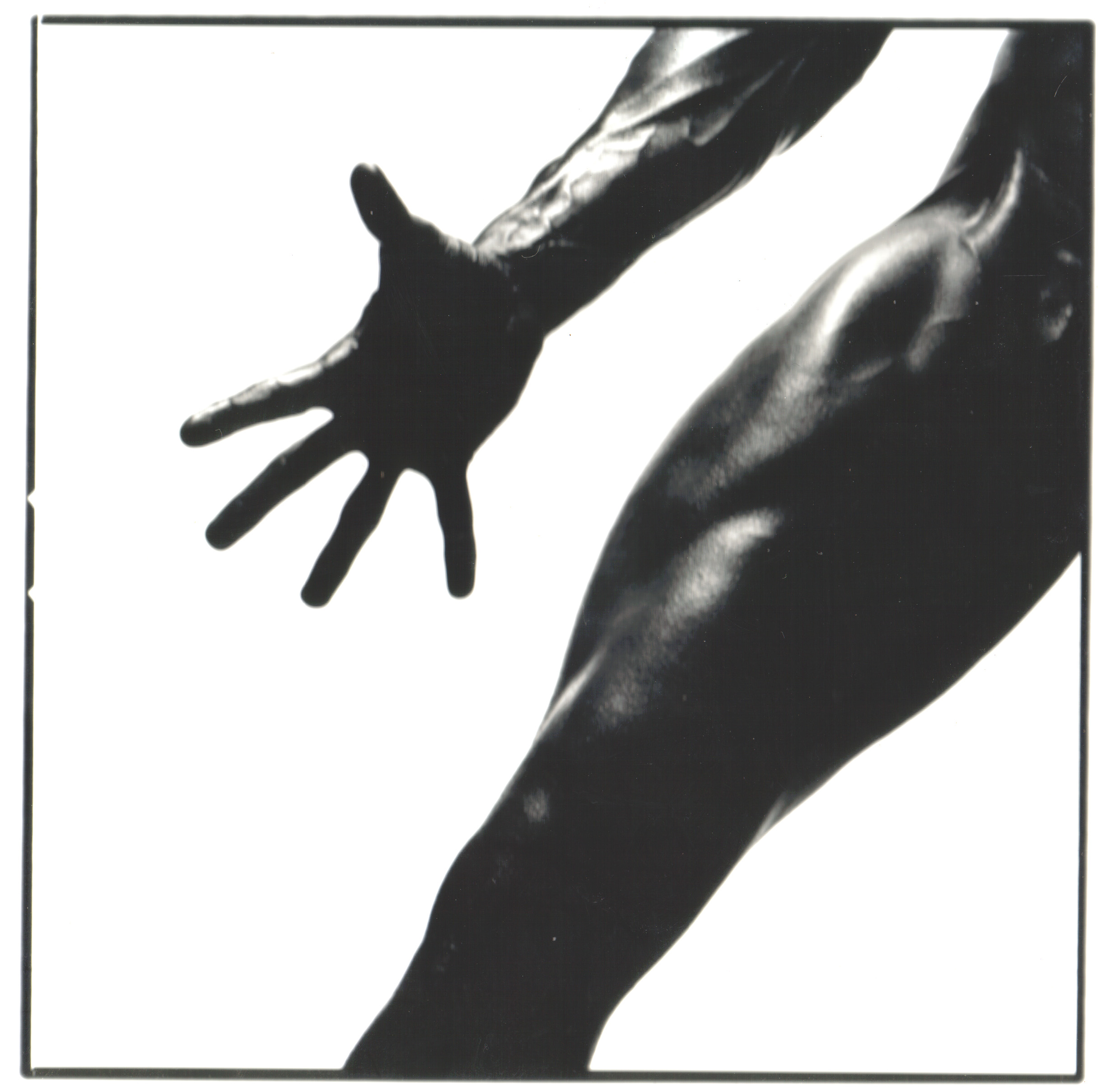 Adam Bruzzone Photography